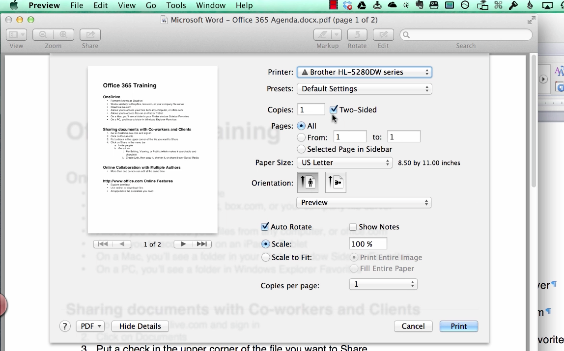 ms word for mac 2011 web options